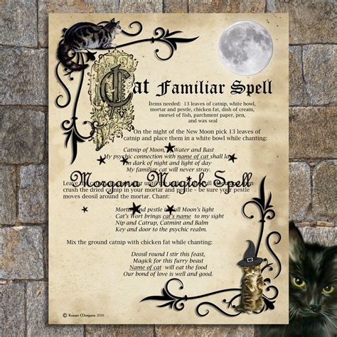 The Witch's Familiar: The Role of Cats in Magical Practices